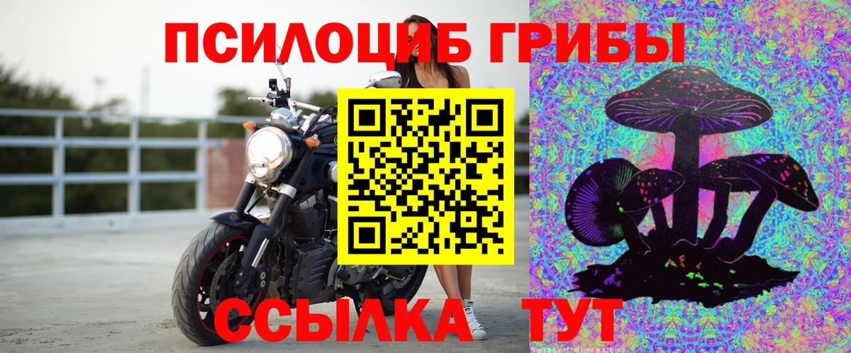 Галлюциногенные грибы MAGIC MUSHROOMS  Вход с VPN  Кингисепп  где купить наркотик  Псилоцибиновые грибы мицелий 