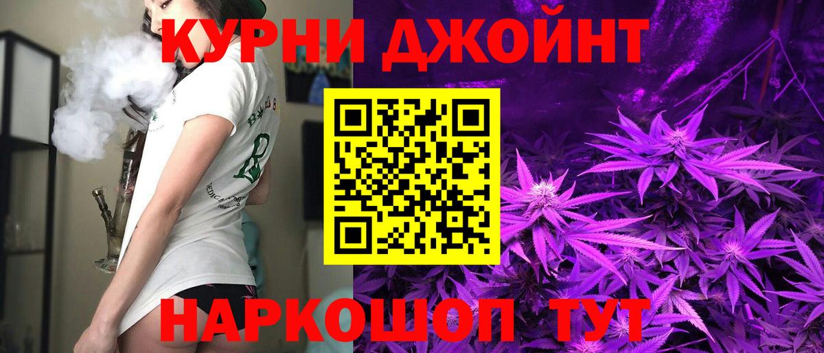 Кингисепп  Конопля тримм  Марихуана Bruce Banner  Бошки Шишки индика  Вход с VPN 