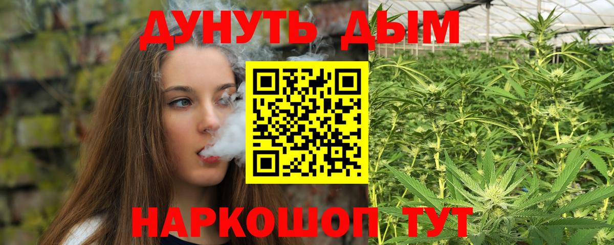 Марихуана марихуана Кингисепп